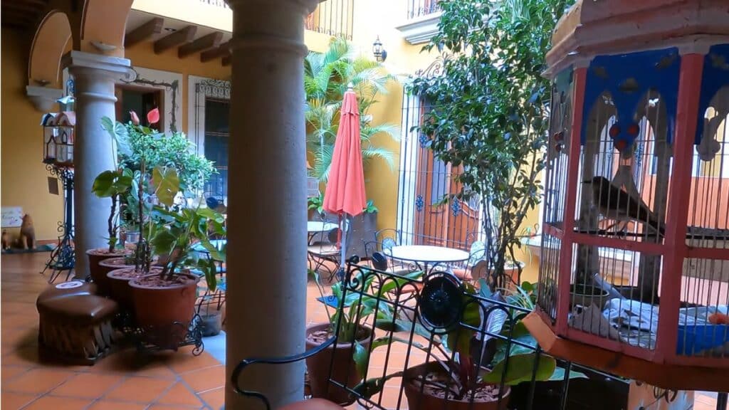 hotel boutique parador san miguel hotel front lobby and bird in a cage
