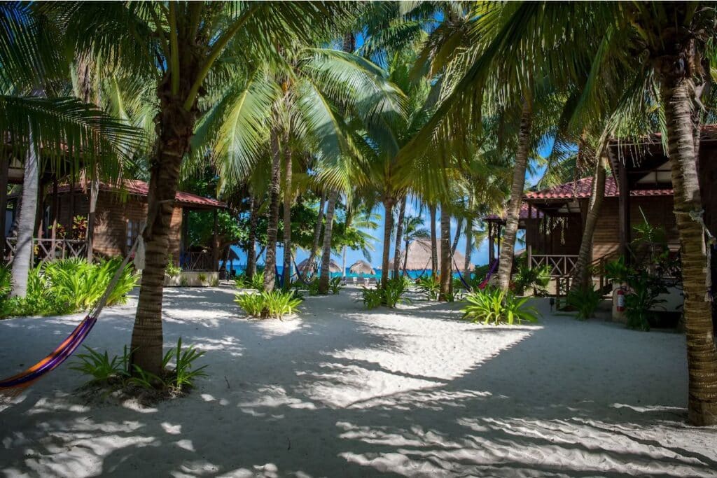 petit lafitte beautiful exterior view with sand palm trees and beach in the background