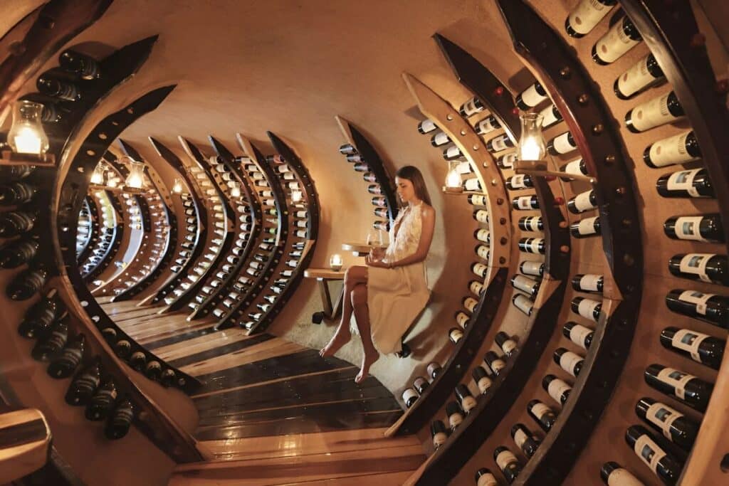 wine cellar with attractive woman and sunshine in the background