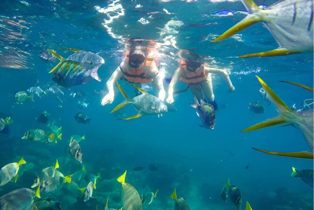 two people scuba diving with school of exotic fish