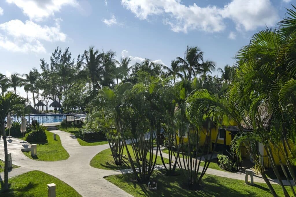 patios leading to the courtyard and outdoor pool surrounded by palm trees